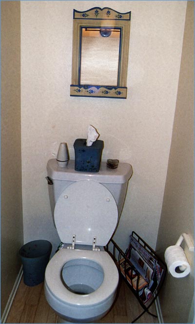 toilet_before_400x664